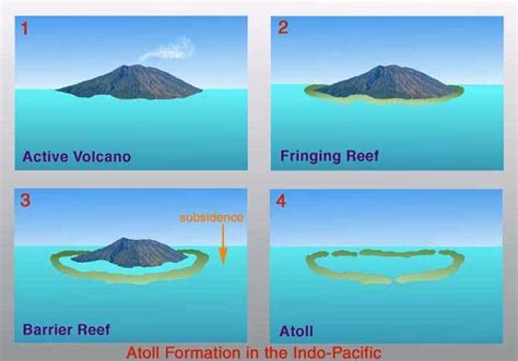 Coral Reef: Fringing Reef, Barrier Reef & Atoll | PMF IAS