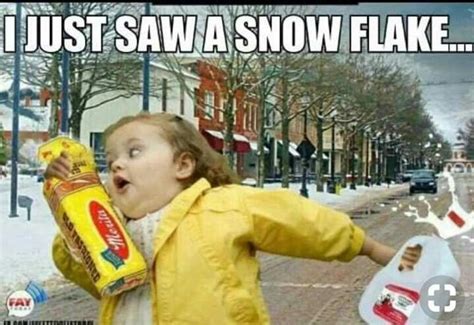 Pin by Joni Roberts on Louisiana Girl | Snow humor, Winter humor ...