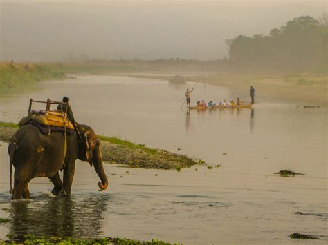 How to Visit Chitwan National Park from Kathmandu, Nepal