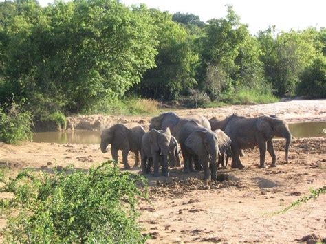 Yankari National Park | Game Reserve, Location, Map, & State | Britannica