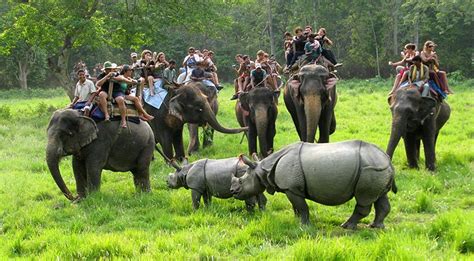 2 nights 3 days package tour, Chitwan National Park, Sauraha | Safari ...