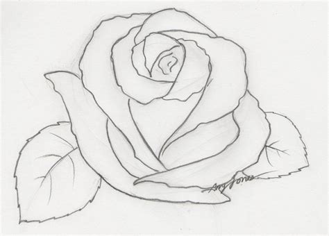 Flower Drawing Simple Rose | in market today