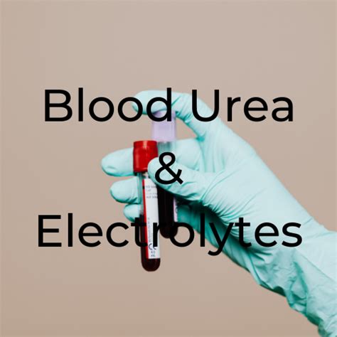 Blood Urea & Electrolytes – Patholab Laboratory