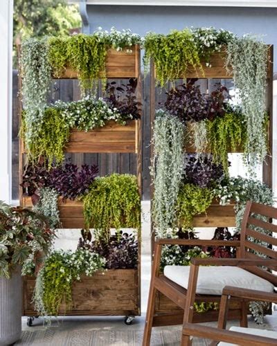 Vertical Gardening Ideas: How & What to Grow Vertically | Garden Design