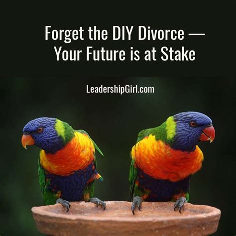 Forget The DIY Divorce - Your Future Is At Stake - Leadership Girl