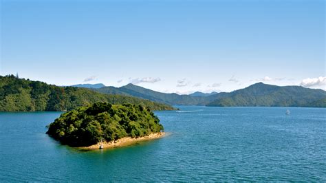 New Zealand Cruises: the Ultimate Guide for a Remarkable Trip