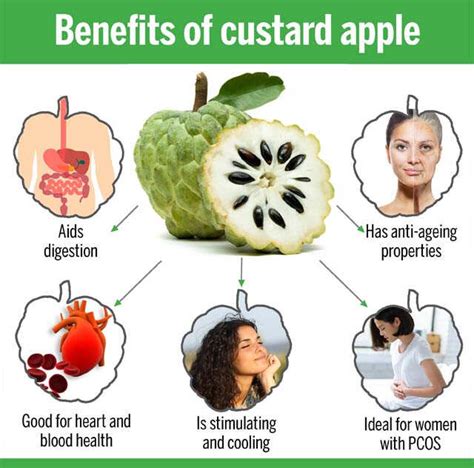 Benefits Of Custard Apple | Femina.in