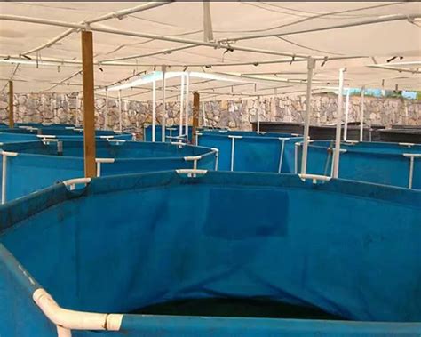 China High Quality Indoor Fish Farming Equipment Manufacturer And ...