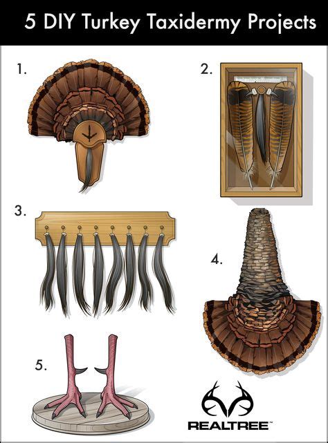 13 Turkey Beard Displays ideas | turkey mounts, turkey hunting, turkey fan