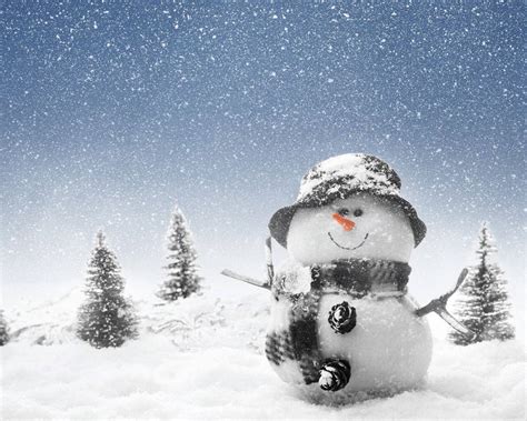 [200+] Snowman Wallpapers | Wallpapers.com