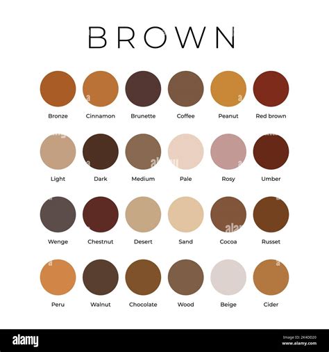 Shades of brown color samples Stock Vector Images - Alamy