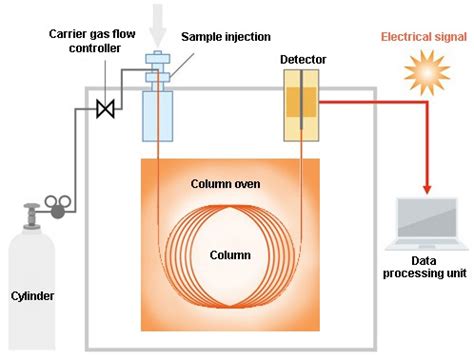 Gas Chromatography Labelled Diagram