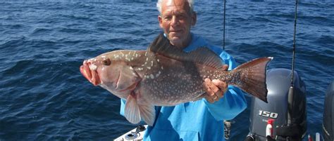 Red Grouper Fishing Charters in Cape Coral Florida