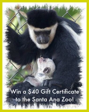 GIVEAWAY: Enter to Win A $40 Family Pass to The Santa Ana Zoo! - SoCal ...