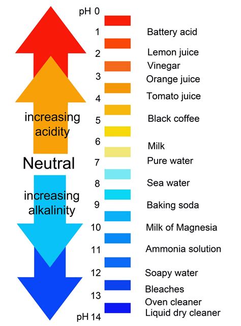 Ph Scale Acids And Bases