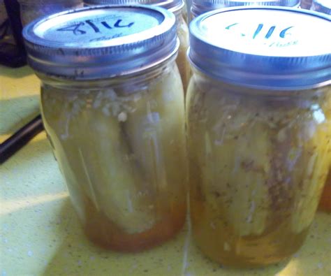 Cabbage Stuffed Hungarian Wax Peppers in Bread and Butter Pickle Brine ...