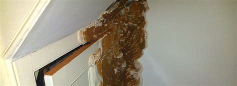 How To Treat Dry Rot | Guide To Dry Rot Treatment | Peter Cox