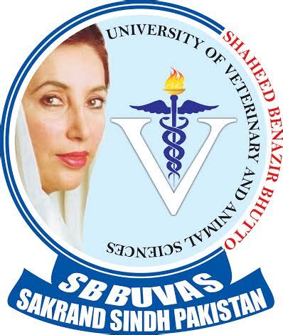 Shaheed Benazir Bhutto University Admissions in Mashriq Newspaper ...