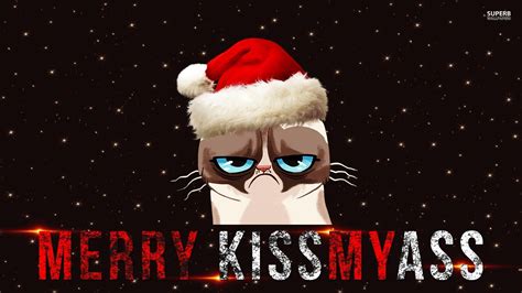 Funny Cat Christmas Wallpaper (55+ images)