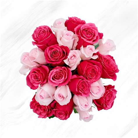 Red & Pink Roses Bunch - Interflora