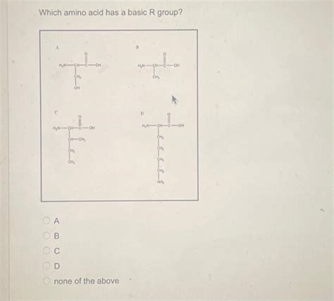 Solved Which amino acid has a basic R group? A B C D none of | Chegg.com