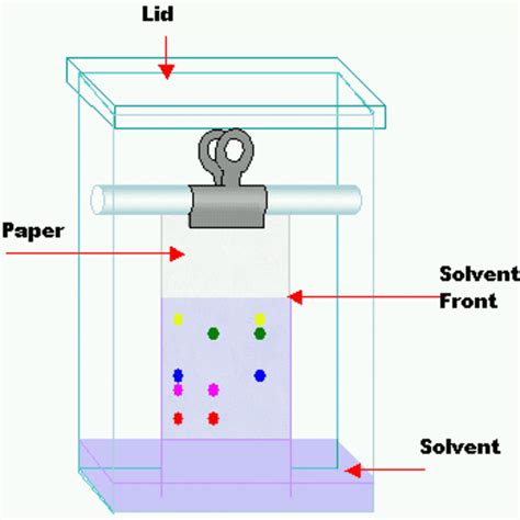 Paper Chromatography