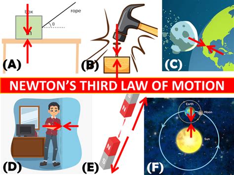 Newton S Laws Of Motion Diagram Concept Map Newtons Laws Of Motion ...