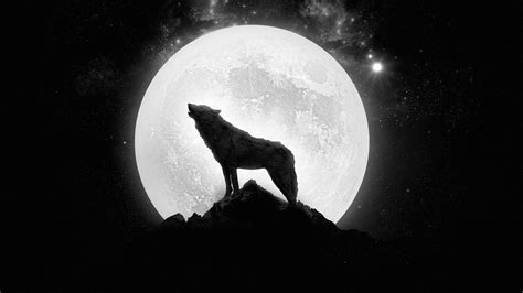 Wolf and Moon Wallpapers - Top Free Wolf and Moon Backgrounds ...