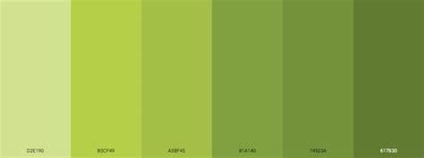 Explore the 24 Best Green Monochromatic Color Palette