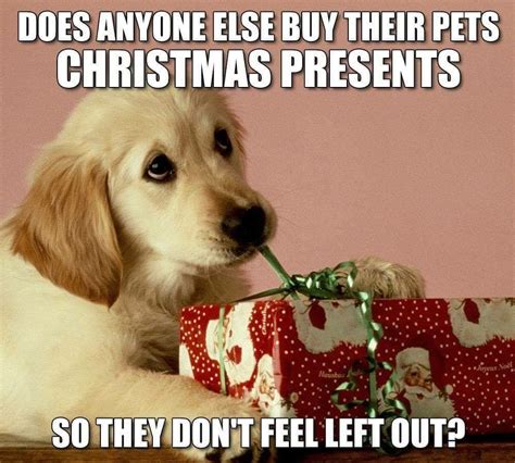 Dog christmas presents image by Tia Lissie on Puppy Love | Pet ...