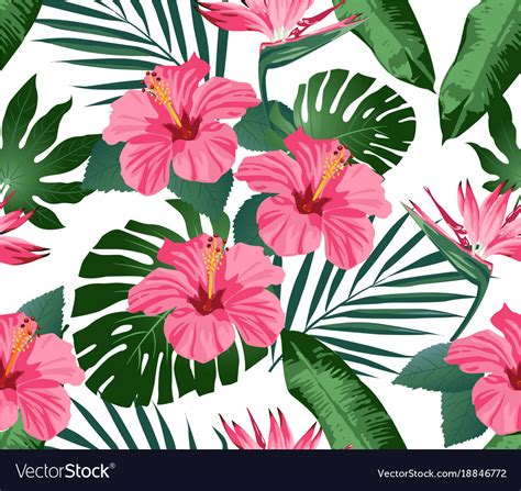 846 Background Flower Tropical Pics - MyWeb