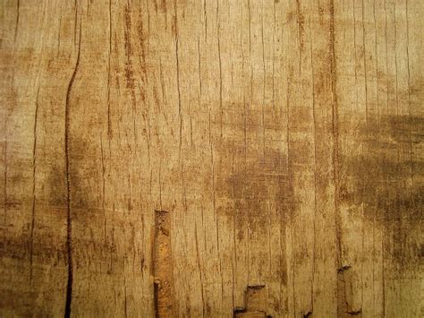 wood texture - Free Large Images | Favorite Places & Spaces | Pinterest