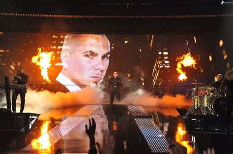 Pitbull, Free Stock Photos - Free Stock Photos