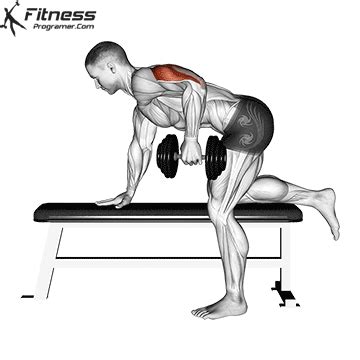 How To Do Cable Tricep Kickbacks | Muscles Worked And Benefits