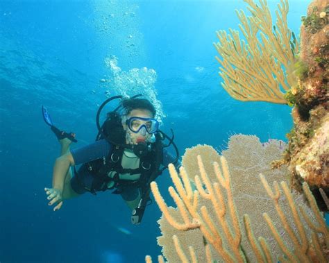 THE 15 BEST Things to Do in Varadero (2024) - Must-See Attractions