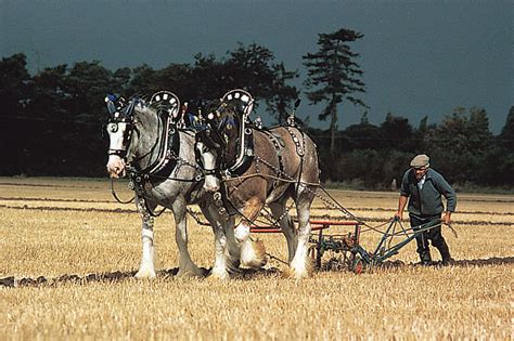 Plow | Description, History, Types, & Facts | Britannica