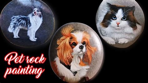 3 best pet rock painting ideas that will catch your attention / TAMVU ...