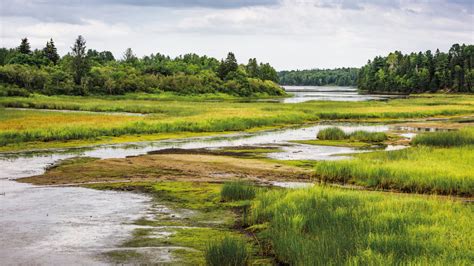 World Wetlands Day 2023 - Wetlands International