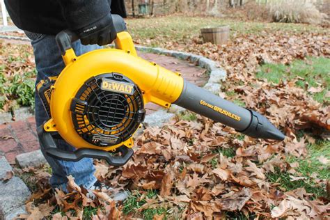 Best Cordless Leaf Blower 2020 at Power Equipment