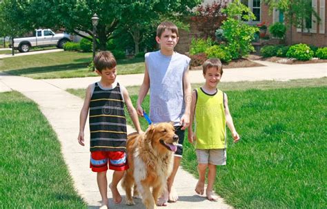 Kids Walking the Dog stock photo. Image of animal, domestic - 4259830