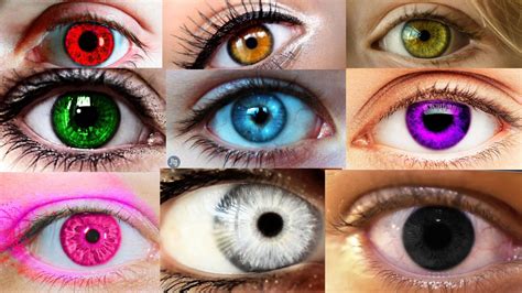 9 real and rare eye colors | Tynker