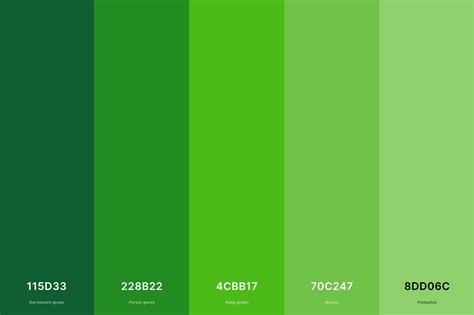 35+ Best Green Color Palettes with Names and Hex Codes (2023)