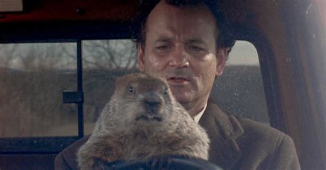 Viewing Party! Let’s All Watch ‘Groundhog Day’ Together! - The New York ...