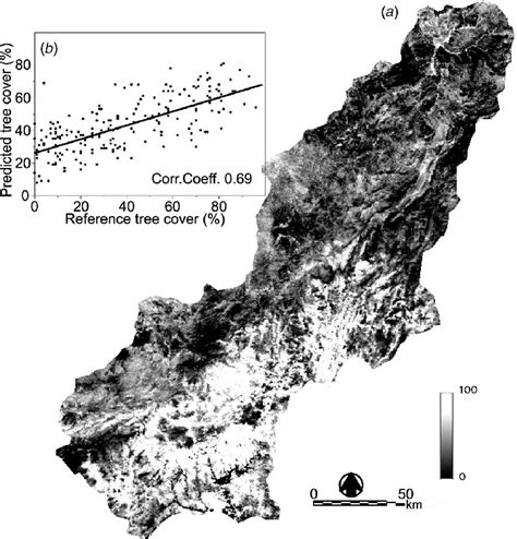 (a) Percentage tree cover map resulting from the MLR model and (b) plot ...