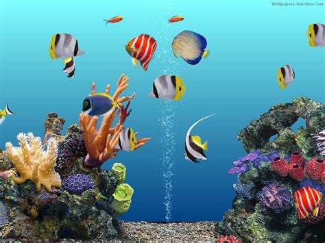 🔥 [50+] 3D Aquarium Wallpapers | WallpaperSafari