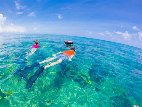 15 Pristine Places For Snorkeling In Florida - Florida Trippers