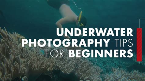 A Beginners Guide to Underwater Photography | Tips in Video #58 - YouTube