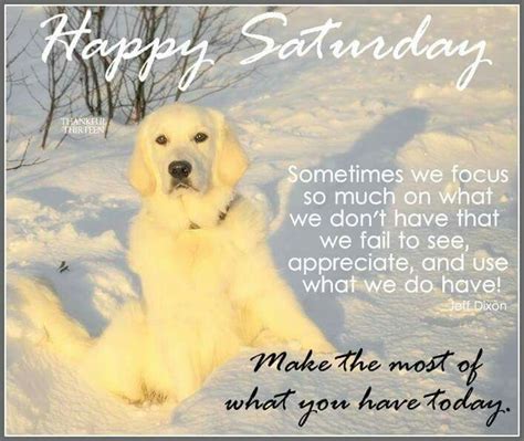 The dog is precious | Good morning happy saturday, Happy saturday ...