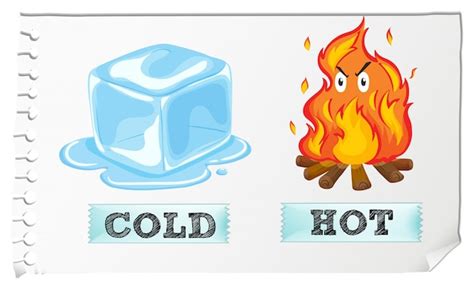 Opposite adjectives with cold and hot Vector | Free Download