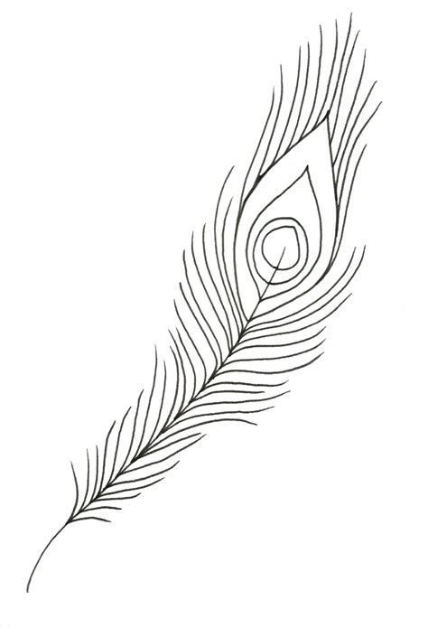 Feather Outline Drawing at PaintingValley.com | Explore collection of ...